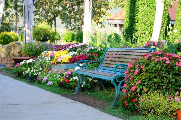 Bench Building
